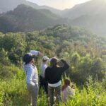Bonnie Wright Instagram - We went on a beautiful little hike in our backyard with our friends yesterday. Heart full 💗
