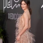 Georgina Amorós Instagram - @premios_platino 🌹 
@maisonvalentino @pppiccioli 😍

Styled by @francescarinciari @valle_es_valle_ @joyeriagrassy 
#Makeup @olgaholovanova_ x @lancomeofficial 
Hair @antonioromeromakeup x @ghdspain 
📸 @manuelfiestas