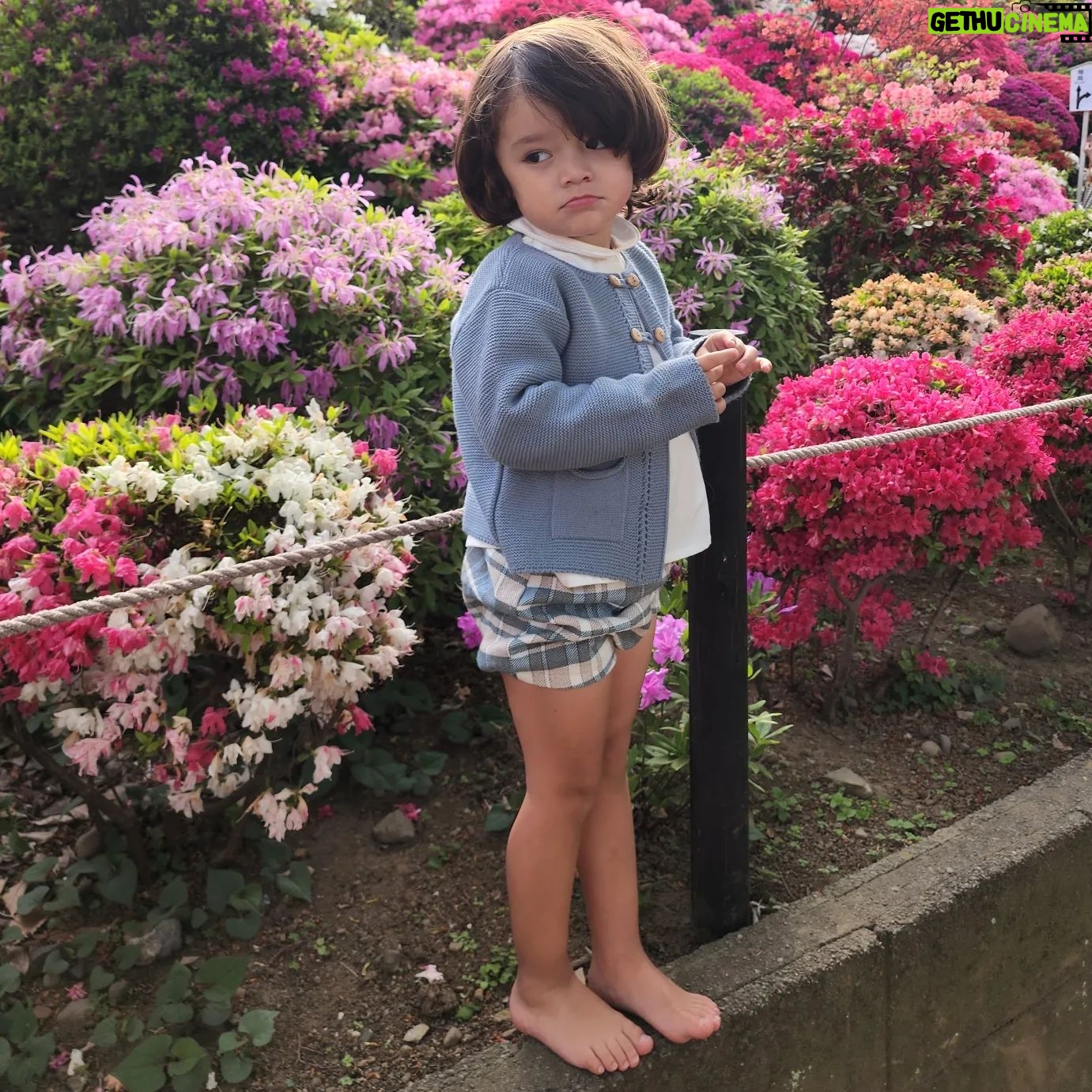 Sherlyn - 46.4K Likes - Me explican en que momento creció tanto? Mi bebé, mi niño grande, a poco tiempo de cumplir 3 años, les pasa lo mismo con sus bebés?
@andrenuestrobebe