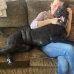 Milla Jovovich Instagram - Happy Saturday from me and the newest member of the Jovovich-Anderson clan, Wellington! We rescued this huge baby beastling from an animal hospital where he’d been abandoned dying of pneumonia because the owner couldn’t afford to pay the bills. Poor guy was just skin and bones. But as you can see, he’s super healthy and happy now lying on his mama’s lap and getting all the love and cuddles any dog could ask for! He’s settling in well, but we’re still potty training him so he’s got a doggie diaper on😂. Before people worry, I make sure he goes outside every time he drinks water, so he spends most of his time without them. But when he’s hanging on the couch with the family, we need to be cautious or I have A LOT of cleaning to do when he has an accident🤦🏻‍♀️ Anyway, hope you’re all doing great and sending lots of love your way!❤️❤️❤️