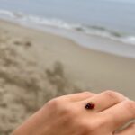 Renata Notni Instagram - Lately 🐞