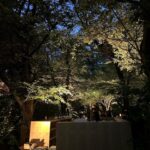 Mei Nagano Instagram – ・
👗🤍🌳🖼️🎶
#PRADAMODE
#東京都庭園美術館