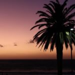 Kinsey Wolanski Instagram – I think Cape Town is my new favorite travel destination. I have been blown away by every sunset and how much there is to do!