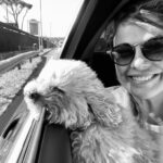 Vanessa Incontrada Instagram - Voliamooooo 🤣🤣