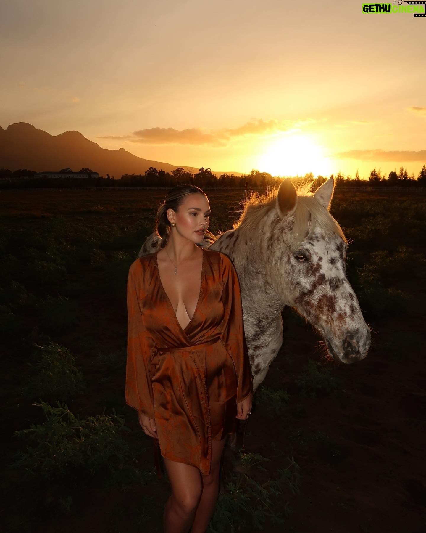 Kinsey Wolanski Instagram - Find that thing that motivates you to work hard. For me, it’s always been travel. Travel fills my soul and now my goals align with having the flexibility in my career to be able to experience new parts of the world 🌎
@ludusmagnus_franschhoek
#travel #southafrica #winefarms
