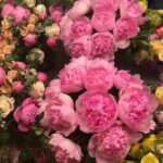 Melissa Benoist Instagram - self affirmation comes in the form of flowers in your dressing room on the night of your first show 💕 🌸