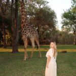Kinsey Wolanski Instagram - Made some friends🦒