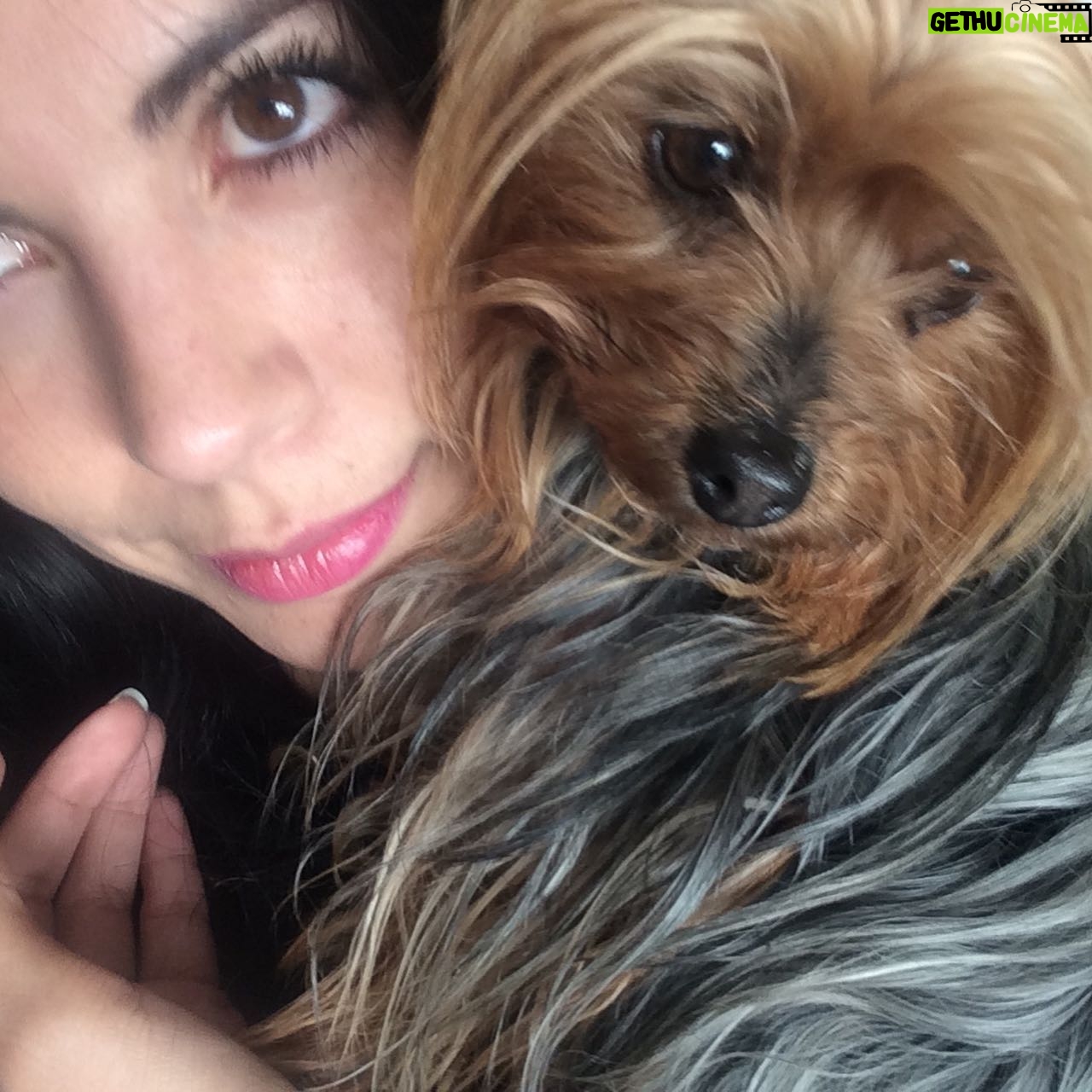África Zavala Instagram - Te voy a extrañar Peregrina hermosa 😔siempre estarás en mi ❤️fuiste la mejor perrita del mundo.