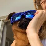 Angèle Instagram – My dog wears it better je sais