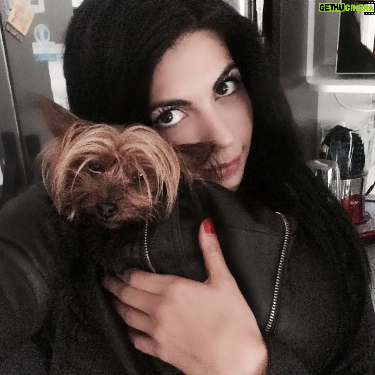 África Zavala Instagram - Te voy a extrañar Peregrina hermosa 😔siempre estarás en mi ❤️fuiste la mejor perrita del mundo.