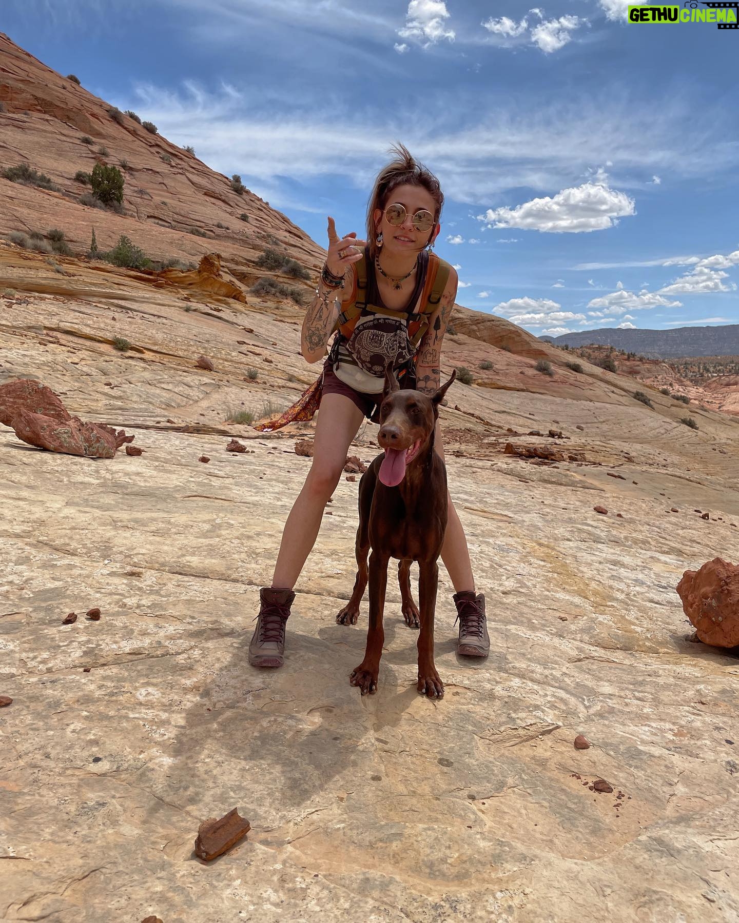 Paris Jackson Instagram - grateful i get to go home with my sides hurting from laughing so hard, feet hurting from walking so far, and the beautiful star-speckled reminder that none of our day to day bullshit matters even a little bit 🏜