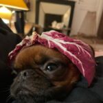 Angèle Instagram - Yes, why ???
