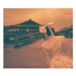 Minami Hamabe Instagram - 第13週『らんまん』
第1章最終回もありがとうございました🧒

無事に祝言をあげることができました!
お色直しまでさせていただいて…ありがたいことです🧒
タキさんの最期のシーンが眩しくて朝からぽろぽろしてしまいました
らんまんじゃあ

あっという間に折り返し!
放送されると時間が過ぎるのがはやいことはやいこと🧒
最後までお付き合いいただけますと嬉しいです🧒

5.6枚目は大好き市蔵さん🧒
小松利昌さんとご一緒させていただくのは2回目でして、いてくださるだけで心強く笑顔になれました🧒
槙野たちのちょこまかに、最後まで優しく付き合ってくださいました…ありがたいーーー…

最近の撮影はまたまた賑やかで、楽しい日々です🧒
外はとてつもなく暑いですからね!皆さんお身体お気をつけて!
ではまた来週の月曜の朝に会いましょう🧒🧒