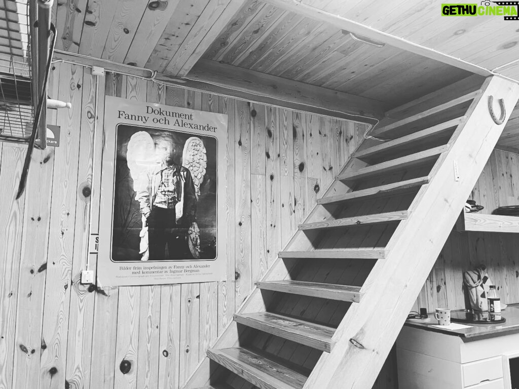 Aubrey Plaza Instagram - “summer with monika” in bergmans private screening barn 🥹 thank you @bergmanveckanpafaro @bergmancenter