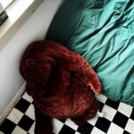 BIBI Instagram - head in my fugazi.