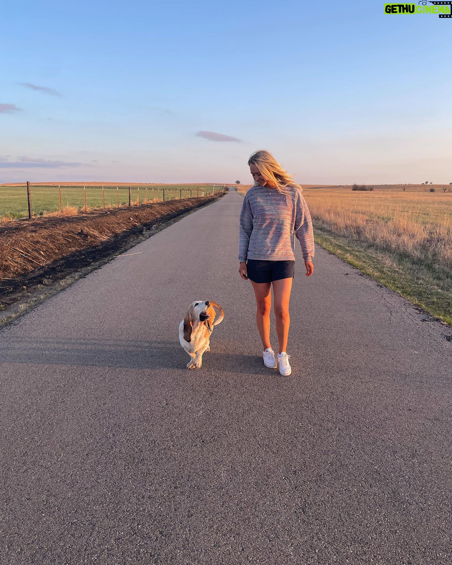 Ree Drummond - 292.7K Likes - Goodbye, sweet wonderful Walter. I’m going to bed early so I can turn off these tears and instead dream sweet memories of you, the most loving loyal pure-hearted doggie our family has ever known. Go find your brother Charlie and have some fun, ol’ boy.❤️❤️❤️❤️❤️