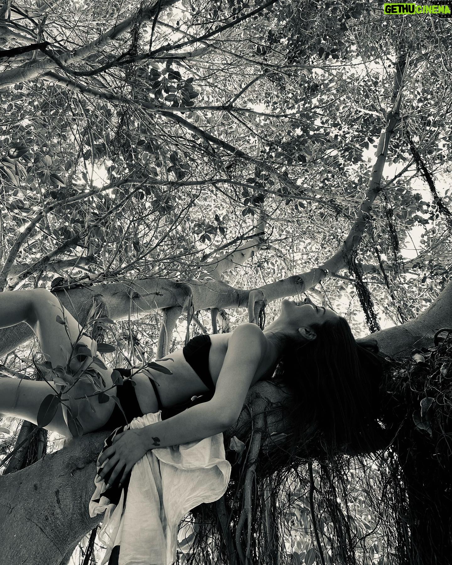 İrem Helvacıoğlu Instagram - Nerde kalmıştık ✨