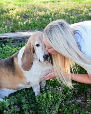 Ree Drummond Instagram - Goodbye, sweet wonderful Walter. I’m going to bed early so I can turn off these tears and instead dream sweet memories of you, the most loving loyal pure-hearted doggie our family has ever known. Go find your brother Charlie and have some fun, ol’ boy.❤️❤️❤️❤️❤️