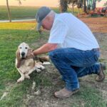 Ree Drummond Instagram - Goodbye, sweet wonderful Walter. I’m going to bed early so I can turn off these tears and instead dream sweet memories of you, the most loving loyal pure-hearted doggie our family has ever known. Go find your brother Charlie and have some fun, ol’ boy.❤️❤️❤️❤️❤️