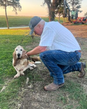 Ree Drummond Instagram - Goodbye, sweet wonderful Walter. I’m going to bed early so I can turn off these tears and instead dream sweet memories of you, the most loving loyal pure-hearted doggie our family has ever known. Go find your brother Charlie and have some fun, ol’ boy.❤️❤️❤️❤️❤️