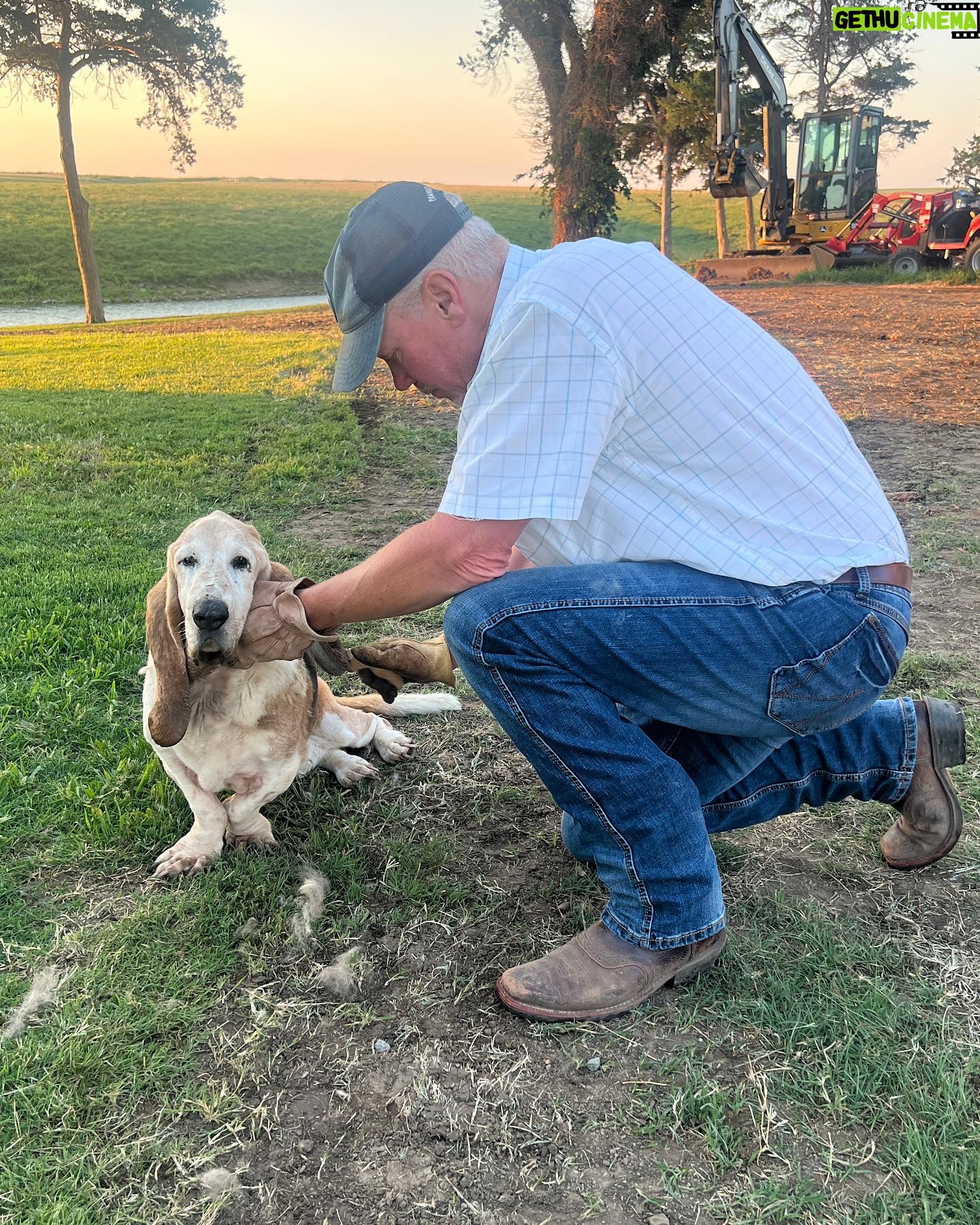 Ree Drummond - 292.7K Likes - Goodbye, sweet wonderful Walter. I’m going to bed early so I can turn off these tears and instead dream sweet memories of you, the most loving loyal pure-hearted doggie our family has ever known. Go find your brother Charlie and have some fun, ol’ boy.❤️❤️❤️❤️❤️