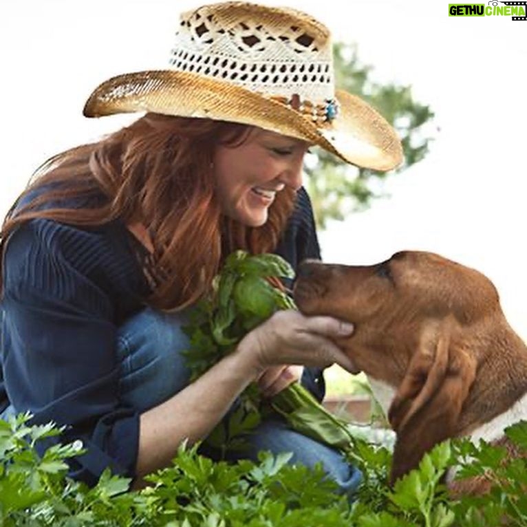 Ree Drummond - 292.7K Likes - Goodbye, sweet wonderful Walter. I’m going to bed early so I can turn off these tears and instead dream sweet memories of you, the most loving loyal pure-hearted doggie our family has ever known. Go find your brother Charlie and have some fun, ol’ boy.❤️❤️❤️❤️❤️