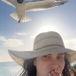 Scarlet Ortiz Instagram - Si te descuidas te roban en Los Roques 😅🤣🤪🕊️ Buenos recuerdos 🙌🏻 gracias @posadatropicana @tunalosroques  #losroquesvenezuela