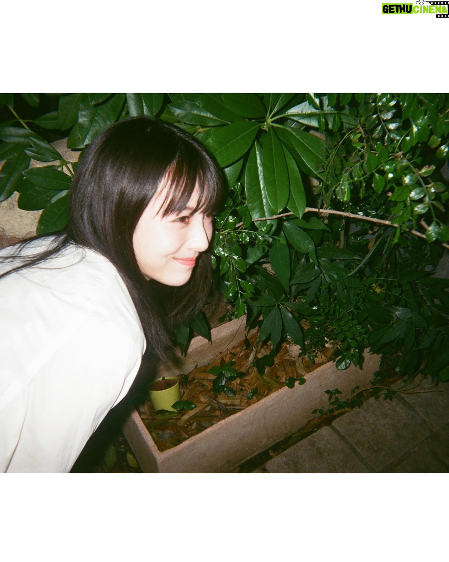 Minami Hamabe - 346.8K Likes - 金曜日🐢
おつかれさまです🐢
『らんまん』今週もありがとうございました!
本日の放送では、万太郎と寿恵子は長屋の皆さんに助けてもらい、無事に元気な赤ちゃんと出会うことができました🐢
万太郎さんは生まれてくる赤ちゃんの名前をずっと考えてくれていましたが、考えに考えぬき、「園子」という、植物を愛する万太郎さんらしい愛に溢れた名前を付けてくださいました🐢
万太郎と寿恵子にとってのかけがえのない宝物を迎え、これから3人家族の物語が広がっていきます🐢
来週もぜひ見届けていただけますと嬉しいです🐢
そして、『らんまん』のファンブックが25日に発売されるようです🐢
今回のファンブックはらんまん女性陣に焦点を当てたものとなっています🐢
佐久間由衣ちゃんの撮り下ろしカットが見目麗しくて最高でした
バナナの写真が、ファンブック撮影日の写真です🐢
わたしも勘違いしていたのですが、神木万太郎さんとの写真は『らんまんガイドブックPart2』のものらしいです!
どちらも発売は25日!
乞うご期待!!
ではでは来週またお会いしましょう!!🐢