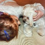 Anna Cathcart Instagram - had to say goodbye to the goodest girl this week.  my perfect mia, i can barely remember my life before you were in it.  i love you so so much.  things feel empty without you.  you deserve endless beef jerky and belly rubs up there.  thank you for everything.  i feel so lucky to have had 13 years loving you and being loved by you❤️