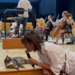 Şevval Sam Instagram – İlk izleyicimiz CRR’nin kedisi..🩵🎵💕💫 🐈🐾 @vigor_sanat @ibrahimyazici @harbiyeacikhava #aşkıbulacaksın #sevdimbirgençkadını
