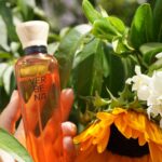 Esmeralda Pimentel Instagram – NO HAY NOCHE SIN ESTRELLAS
NI VERANO SIN VERBENA. 

@adolfodominguezofficial 
#AdolfoDominguezPerfumes
#VerbenaNuevaEdicionLimitada 
🧡💐🌻🍃☀️

(Aplausos a mi madre que ayer descubrió que tiene alto talento pa’ tomar foticos. He aquí las que no quedaron fuera de foco 😂🤭🫶🏼)

📸: @murguiaesmeralda