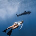 Kinsey Wolanski Instagram - Yesterday I got to free dive with sharks and it was the most unreal experience 🦈 @hawaiiadventurediving @danny_mako