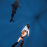 Kinsey Wolanski Instagram - Yesterday I got to free dive with sharks and it was the most unreal experience 🦈 @hawaiiadventurediving @danny_mako