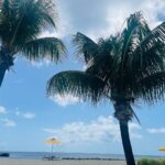 Nia Long Instagram - My heart belongs to Nevis @fsnevis ❤️#fsnevis