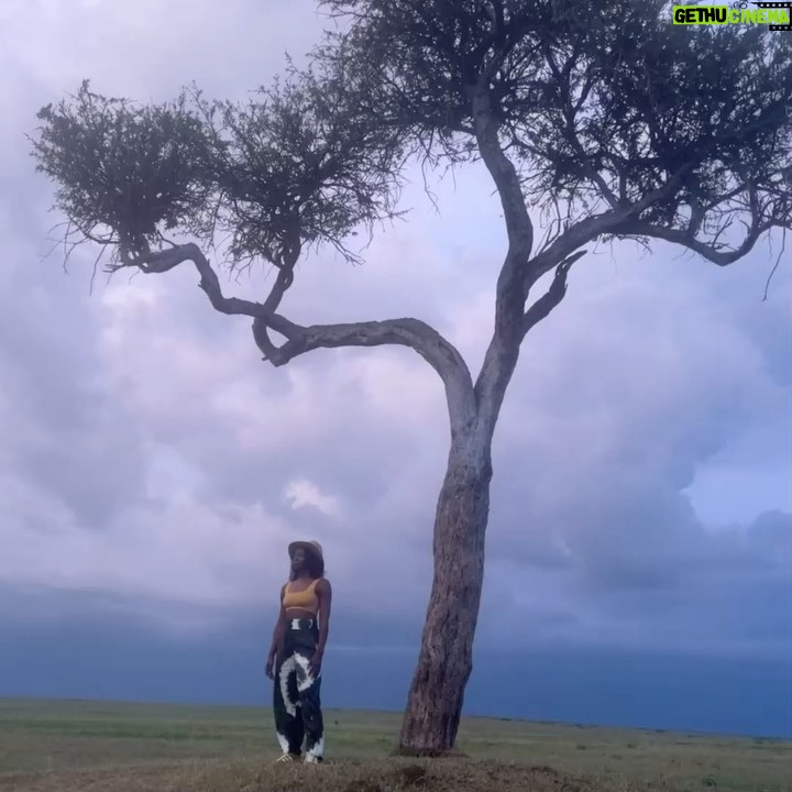Danai Gurira Instagram - For this edition of #LoveOurGirls, I'm highlighting my trip to Kenya where I was able to visit the first-ever Kenyan carbon-neutral footprint safari @emboocamp and had the pleasure of being guided through the Maasai Mara by a couple of outstanding young Maasai women. This was such an exciting Love Our Girls moment because it breaks stereotypes in terms of our involvement in the conservation realm. I was also able to learn more about their work and involvement in their communities. I’m so excited for them to share their own experiences, stories, and what they have accomplished with you.
I also visited the @maraelephantproject, whose mission is protecting elephants and their habitats, and seeks a stable and healthy elephant population co-existing peacefully with people across the greater Mara ecosystem. During my time there, I met an astounding agronomist and leader in her field, Abigael, and learned about the groundbreaking work she and her team are doing.
I’m really excited for you to meet these incredible women and hear their powerful feminist perspectives. Enjoy! #EmbooRiver #EmbooCamps #MaasaiMara