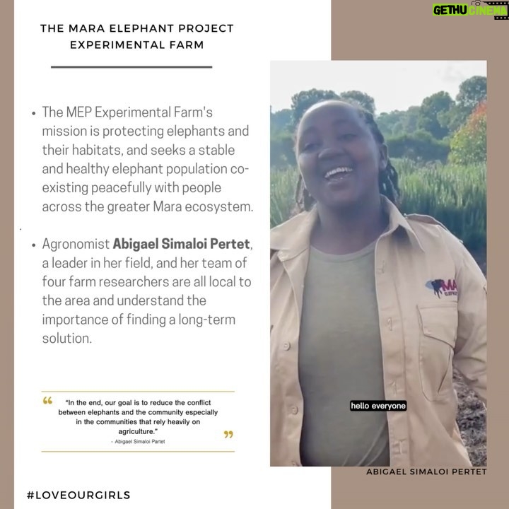 Danai Gurira Instagram - For this edition of #LoveOurGirls, I'm highlighting my trip to Kenya where I was able to visit the first-ever Kenyan carbon-neutral footprint safari @emboocamp and had the pleasure of being guided through the Maasai Mara by a couple of outstanding young Maasai women. This was such an exciting Love Our Girls moment because it breaks stereotypes in terms of our involvement in the conservation realm. I was also able to learn more about their work and involvement in their communities. I’m so excited for them to share their own experiences, stories, and what they have accomplished with you.
I also visited the @maraelephantproject, whose mission is protecting elephants and their habitats, and seeks a stable and healthy elephant population co-existing peacefully with people across the greater Mara ecosystem. During my time there, I met an astounding agronomist and leader in her field, Abigael, and learned about the groundbreaking work she and her team are doing.
I’m really excited for you to meet these incredible women and hear their powerful feminist perspectives. Enjoy! #EmbooRiver #EmbooCamps #MaasaiMara