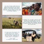 Danai Gurira Instagram - For this edition of #LoveOurGirls, I'm highlighting my trip to Kenya where I was able to visit the first-ever Kenyan carbon-neutral footprint safari @emboocamp and had the pleasure of being guided through the Maasai Mara by a couple of outstanding young Maasai women. This was such an exciting Love Our Girls moment because it breaks stereotypes in terms of our involvement in the conservation realm. I was also able to learn more about their work and involvement in their communities. I’m so excited for them to share their own experiences, stories, and what they have accomplished with you.

I also visited the @maraelephantproject, whose mission is protecting elephants and their habitats, and seeks a stable and healthy elephant population co-existing peacefully with people across the greater Mara ecosystem. During my time there, I met an astounding agronomist and leader in her field, Abigael, and learned about the groundbreaking work she and her team are doing.

I’m really excited for you to meet these incredible women and hear their powerful feminist perspectives. Enjoy! #EmbooRiver #EmbooCamps #MaasaiMara