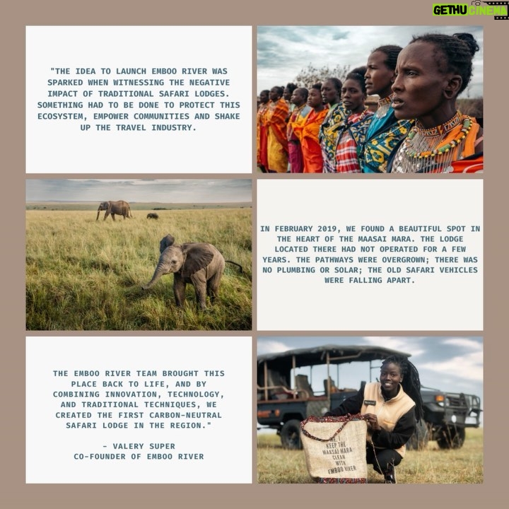 Danai Gurira Instagram - For this edition of #LoveOurGirls, I'm highlighting my trip to Kenya where I was able to visit the first-ever Kenyan carbon-neutral footprint safari @emboocamp and had the pleasure of being guided through the Maasai Mara by a couple of outstanding young Maasai women. This was such an exciting Love Our Girls moment because it breaks stereotypes in terms of our involvement in the conservation realm. I was also able to learn more about their work and involvement in their communities. I’m so excited for them to share their own experiences, stories, and what they have accomplished with you.
I also visited the @maraelephantproject, whose mission is protecting elephants and their habitats, and seeks a stable and healthy elephant population co-existing peacefully with people across the greater Mara ecosystem. During my time there, I met an astounding agronomist and leader in her field, Abigael, and learned about the groundbreaking work she and her team are doing.
I’m really excited for you to meet these incredible women and hear their powerful feminist perspectives. Enjoy! #EmbooRiver #EmbooCamps #MaasaiMara