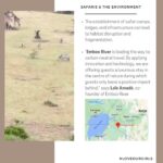 Danai Gurira Instagram - For this edition of #LoveOurGirls, I'm highlighting my trip to Kenya where I was able to visit the first-ever Kenyan carbon-neutral footprint safari @emboocamp and had the pleasure of being guided through the Maasai Mara by a couple of outstanding young Maasai women. This was such an exciting Love Our Girls moment because it breaks stereotypes in terms of our involvement in the conservation realm. I was also able to learn more about their work and involvement in their communities. I’m so excited for them to share their own experiences, stories, and what they have accomplished with you.

I also visited the @maraelephantproject, whose mission is protecting elephants and their habitats, and seeks a stable and healthy elephant population co-existing peacefully with people across the greater Mara ecosystem. During my time there, I met an astounding agronomist and leader in her field, Abigael, and learned about the groundbreaking work she and her team are doing.

I’m really excited for you to meet these incredible women and hear their powerful feminist perspectives. Enjoy! #EmbooRiver #EmbooCamps #MaasaiMara