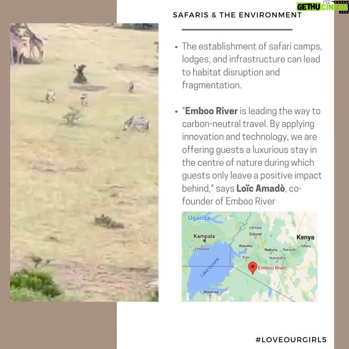 Danai Gurira Instagram - For this edition of #LoveOurGirls, I'm highlighting my trip to Kenya where I was able to visit the first-ever Kenyan carbon-neutral footprint safari @emboocamp and had the pleasure of being guided through the Maasai Mara by a couple of outstanding young Maasai women. This was such an exciting Love Our Girls moment because it breaks stereotypes in terms of our involvement in the conservation realm. I was also able to learn more about their work and involvement in their communities. I’m so excited for them to share their own experiences, stories, and what they have accomplished with you.
I also visited the @maraelephantproject, whose mission is protecting elephants and their habitats, and seeks a stable and healthy elephant population co-existing peacefully with people across the greater Mara ecosystem. During my time there, I met an astounding agronomist and leader in her field, Abigael, and learned about the groundbreaking work she and her team are doing.
I’m really excited for you to meet these incredible women and hear their powerful feminist perspectives. Enjoy! #EmbooRiver #EmbooCamps #MaasaiMara