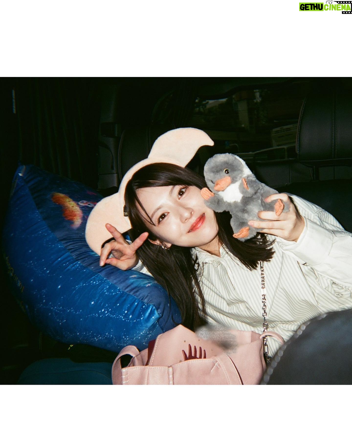 Minami Hamabe - 179K Likes - 今年も焼肉の日を無事に迎えることができました🍋
22歳も楽しいことばかりで、ずっとずっと大笑いしていた気がします…
とはいえ反省することばかりですが、落ち込むべきときには深くまで考え、反省を活かしてより一層前を向いて進んで行こうと思います🍋
日頃よりあたたかく応援してくださっている皆様、本当にありがとうございます🍋
人間ドックを今年中に初受診することを私生活とお仕事を元気に過ごす為の目標とすることにいたしました🍋健康第一、
焼肉は、ユッケが一番好きです🍋
犬は、ポメラニアンが好みです🍋
チョコレートは冷蔵庫に入れるのが好きです🍋
浮腫はふくらはぎに全て溜まります🍋
『らんまん』が皆様に愛される作品となり何よりも幸せでございます🍋
最後までよろしくお願いいたします🍋
1枚目は『らんまん』菊くらべで登場していた大輪の菊たち
2枚目は前後にしっかり除菌した壁に溶ける寿恵子
3枚目は東宝カレンダー
4枚目5枚目は、フォルダに入っていた、いい写真