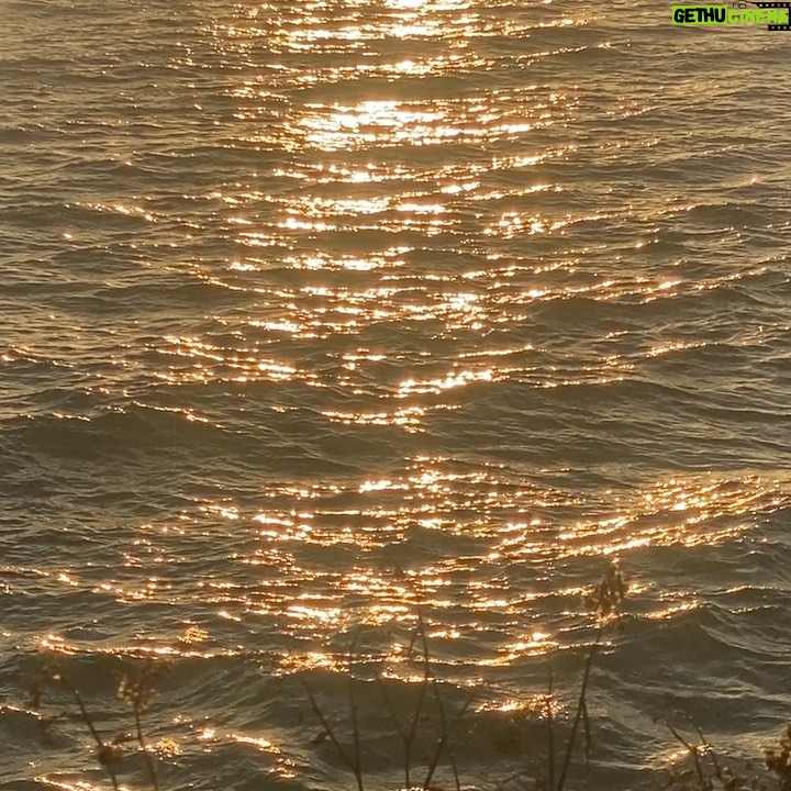 Bonnie Wright - 150.3K Likes - How many more sunsets as just the two of us…🌞