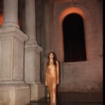 Dilan Çiçek Deniz Instagram - @amfar ✨
#amfARVenezia