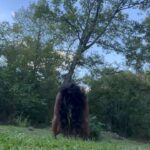 Jessie Reyez Instagram - I didn’t stop at the top of the cliff to look over it and get scared. It’s my 1,2,3 trick. I commit to three regardless of fear. And that’s how I get things done that might make me nervous.. most of the time