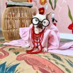 Iris Apfel Instagram - Captivate your canine curiosity. 🐾❤️
(via @fine_frenchie)