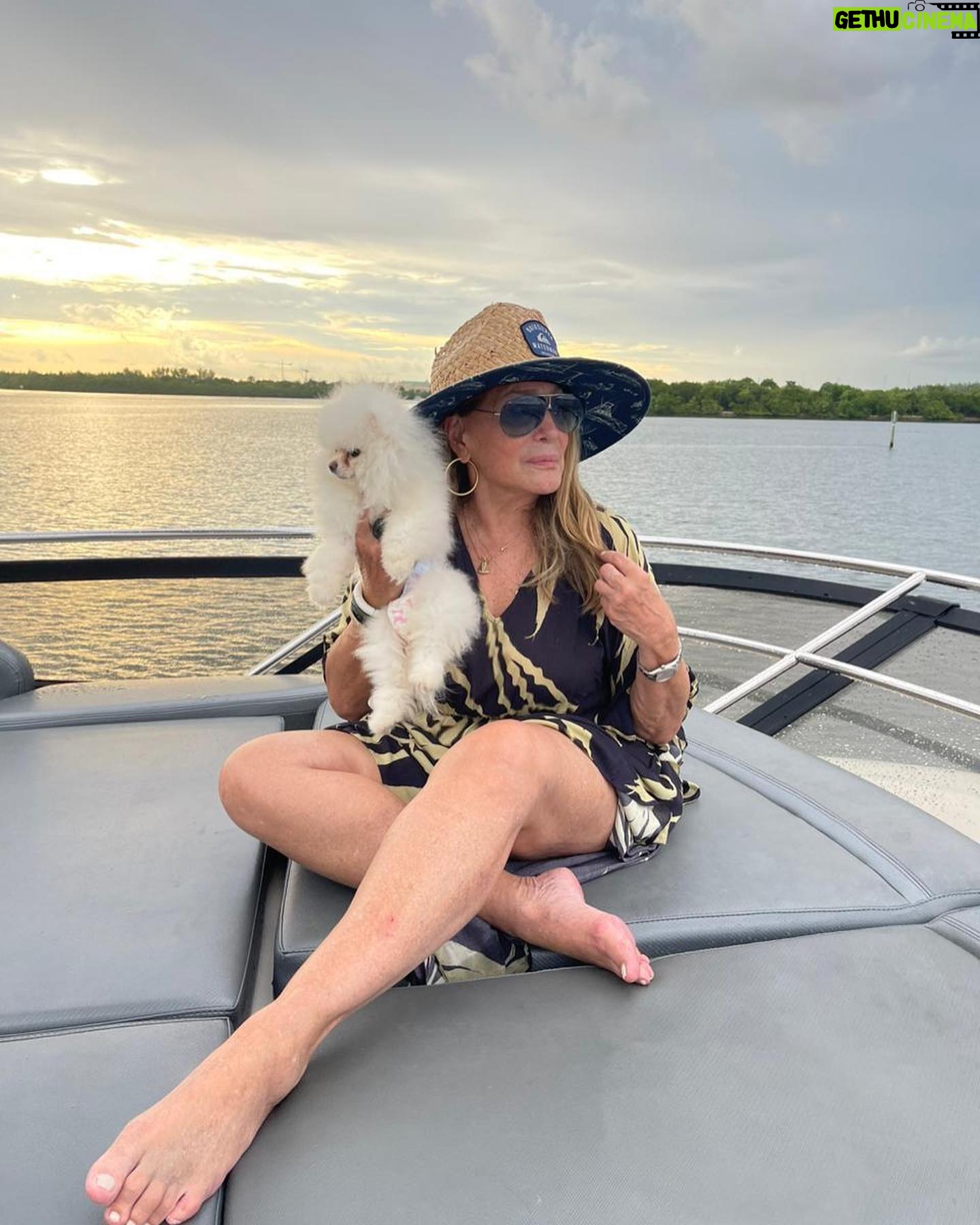 Susana Vieira Instagram - Pôr de sol, cachorrinha Chanel, amigos, niver do Rodrigo e saúde!!!! ☀️☀️☀️