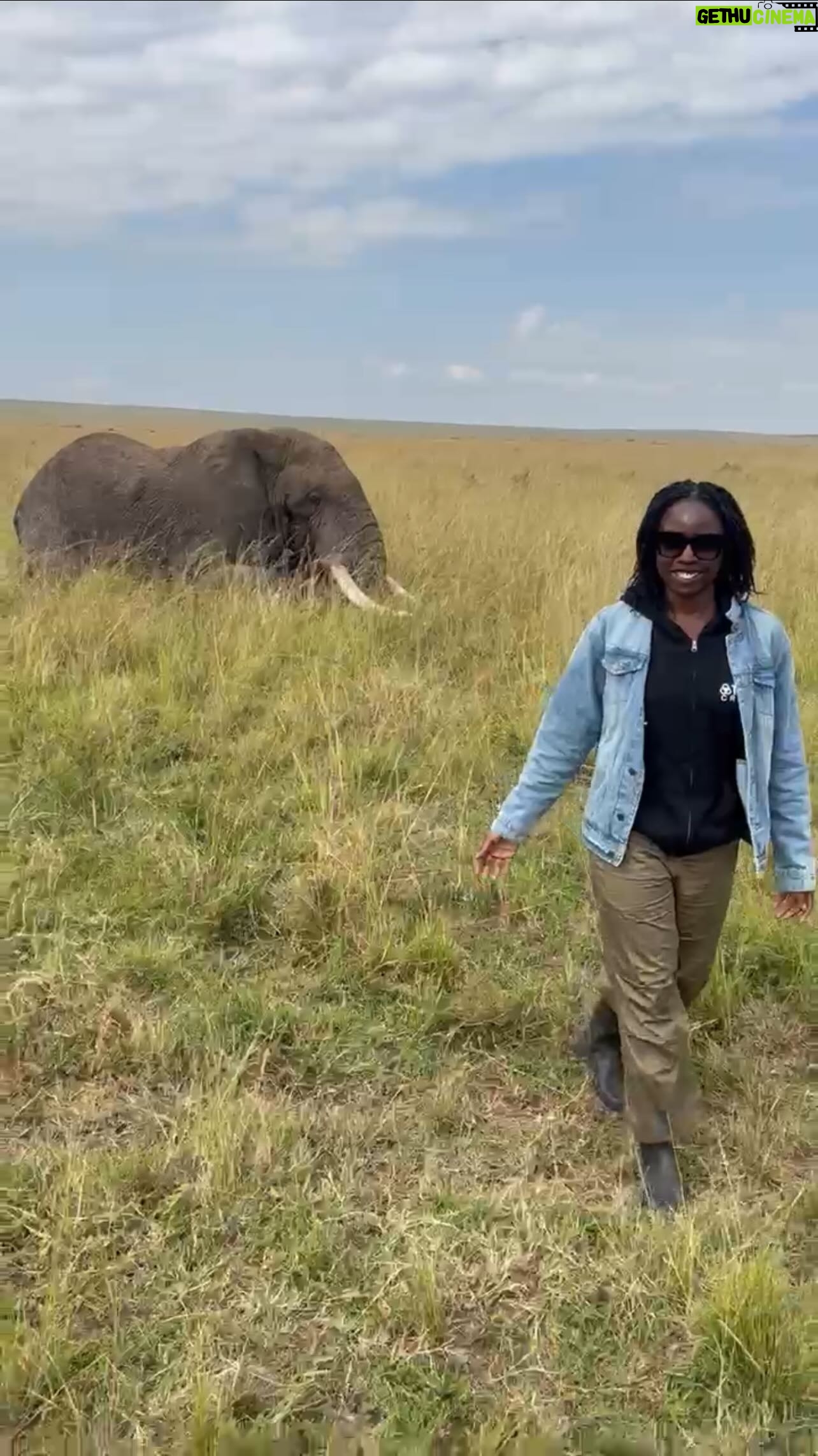 Danai Gurira Instagram - Today is #ElephantAppreciationDay, and to celebrate these incredible mammals, I wanted to share a recent experience of being up close and personal with an elephant in the wild.🐘
One day during my trip to #Kenya this summer, we were headed to visit the @maraelephantproject, and as we flew over the Savannah they noticed an elephant on the ground that had a lot of wounds on his rear end and had visible punctures and cuts. In a spontaneous turn of events we grabbed the veterinarian and headed back into the wild to find this wounded elephant and get him the treatment he needed.
I was so thankful to be in the right place at the right time and tag along for this extraordinary experience. I watched as they tranquilized the bull –which we ended up naming ALI because he was such a fighter– was able to touch him and smell his elephant breath 😂 And learned about all of the incredible work done to conserve and manage Kenya’s tremendous wildlife.
These animals are breathtakingly beautiful, and certainly have minds of their own! And they deserve to be protected and celebrated today and every day!