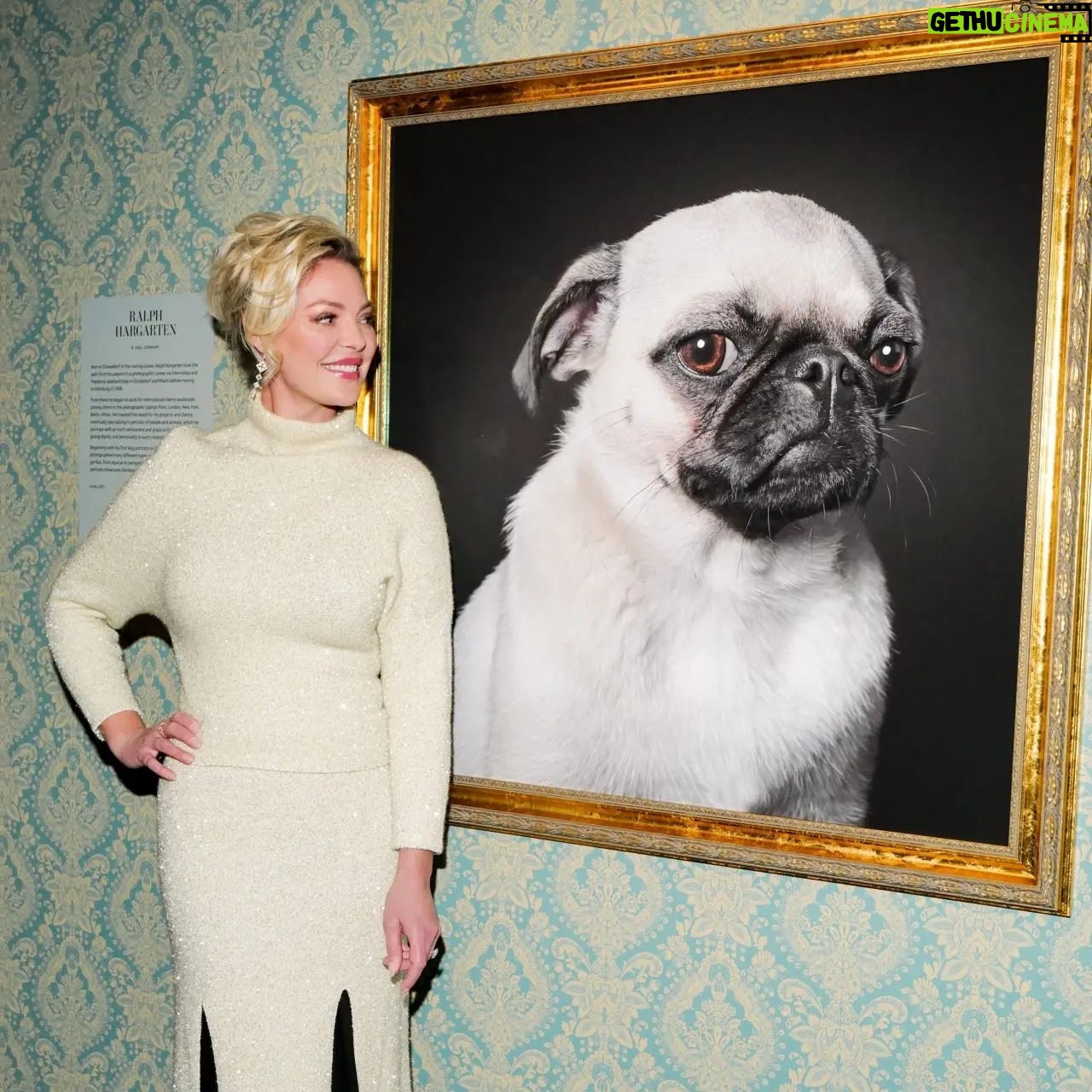 Katherine Heigl Instagram - Thrilled to attend the opening event for the “Best In Show: Pets In Contemporary Photography” exhibition at @fotografiska.newyork last night with @badlandsranchpets Blown away by the talent of the 25 artists and how they've captured the essence of our beloved pets in culture. And... meeeting some of the furry attendees? Absolute highlight!!
Every ticket sold supports the work of the @jasonheiglfoundation Visit from now through January 2024 to experience mesmerizing images and make a difference for animals in need! #BestInShow #FotografiskaNY #NewYork
Stylist: @debswatson
Photography: Ben Rosser/BFA.com