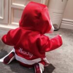 Sarah Michelle Gellar Instagram – Rocky… from the moment you came racing into our life (we may still hold the record for fastest delivery at St John’s) you have made everything better and funnier. Your laugh is infectious, your jokes are the best and your spirit is … EVERYTHING. You make every day brighter. Happy Birthday Rocky. Yes Siiiiiiiiirrrrrrr