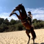 Gökçe Akyıldız Instagram – 🫠